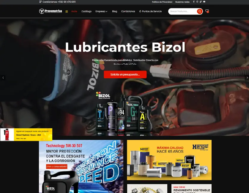 Portfolio Diseño Web-07