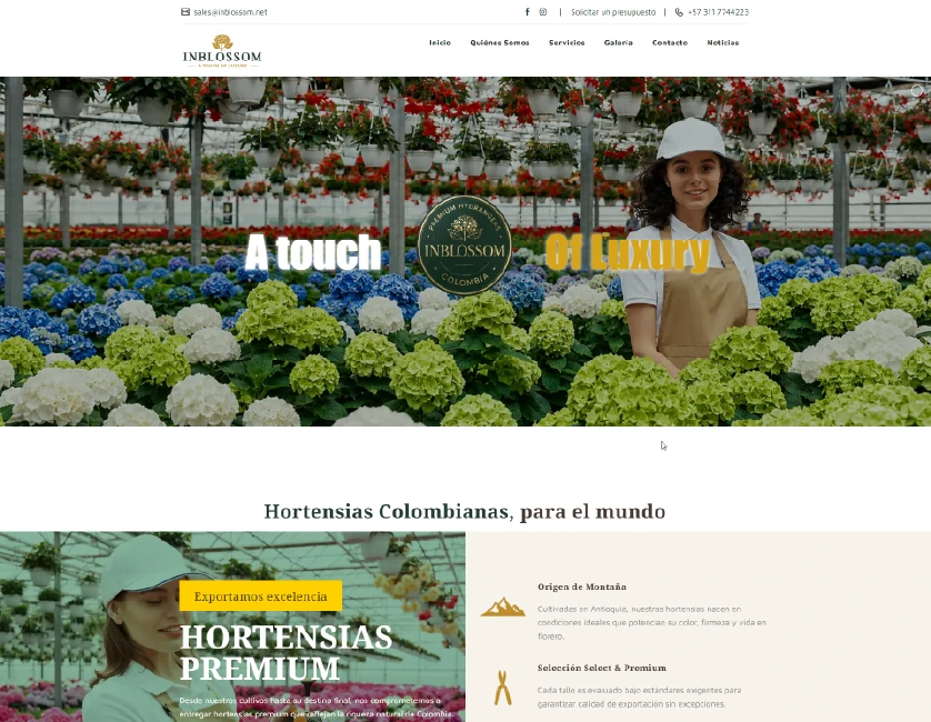 Portfolio Inblossom